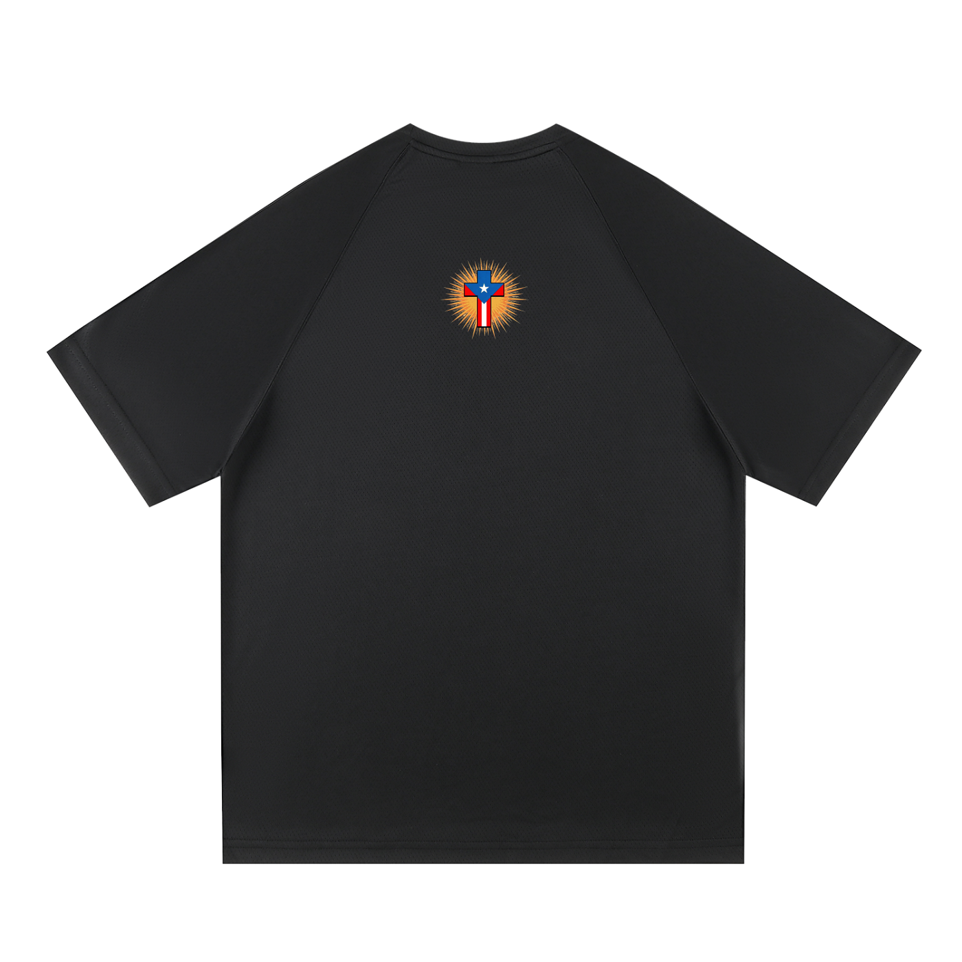 Raglan Sleeve Mesh T-Shirt