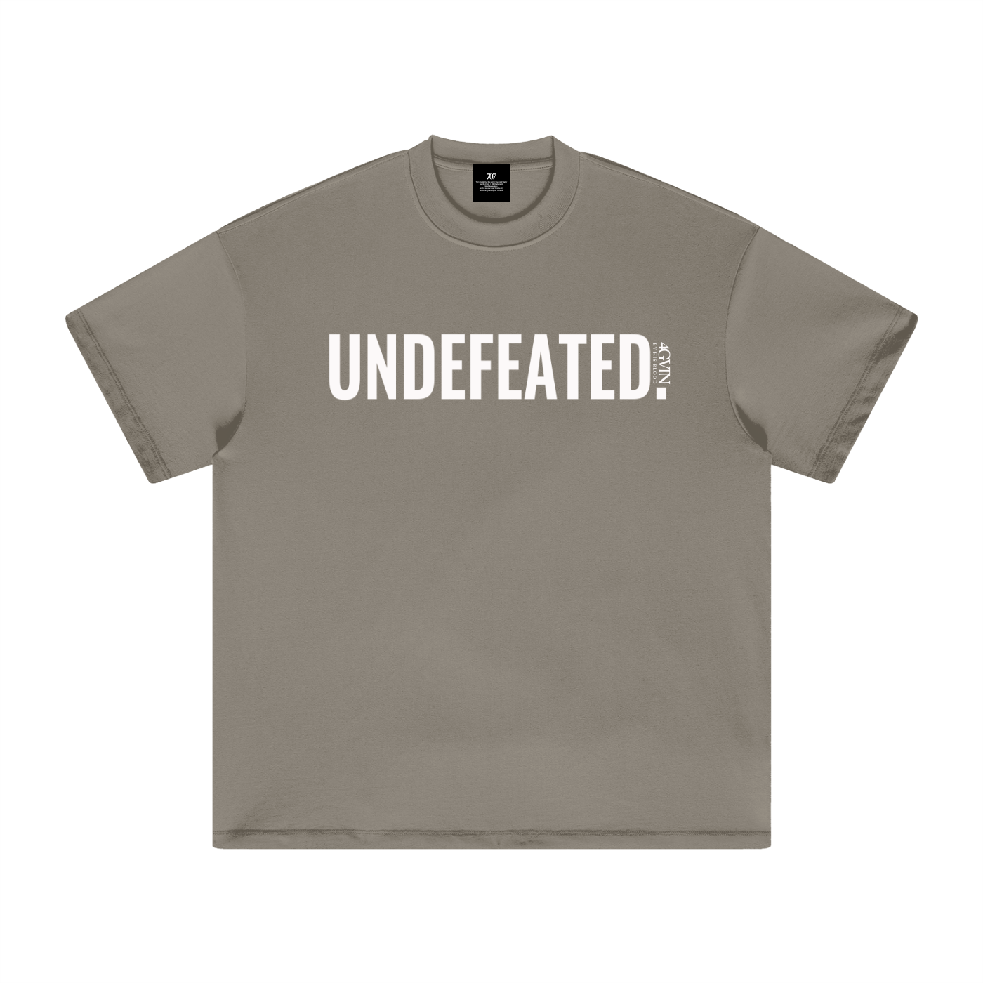 4GVIN ( Jesus Never ) Heavyweight Tone T-Shirt